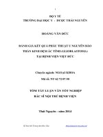 đánh giá kết quả phẫu thuật u nguyên bào thần kinh đệm ác tính (glioblastoma) tại bệnh viện việt đức