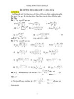 de cuong on tap toan 11 hoc ky 2-2013