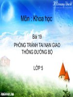 PHÒNG TRÁNH TAI NẠN GIAO THÔNG ĐƯỜNG BỘ - khoa hoc 5