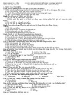 bài thi HSG lớp 5 - có đáp án