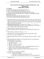 Đề cương ôn tập Toán 8. học kì 2 (Dành cho học sinh trung bình và yếu)