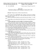 báo cáo thực hiện nhiệm vụ quý I/2013