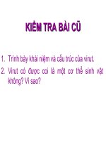 bai 44 sinh 10nc Su nhan len cua virut trong te bao chu