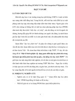 Một số kinh nghiệm áp  dụng quan điểm dạy học phân hóa trong bài luyện tập nhằm phát huy tính tự giác, chủ động cho học sinh THPT