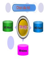 Câu hỏi ôn tập môn Tin học