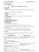 Bai 20: CẤU TẠO TRONG CỦA LÁ