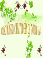 Thực vật điều hòa khí hậu