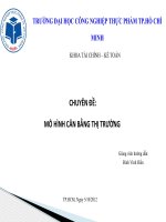 chuyên đề mô hình cân bằng thị trường