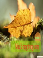 Mùa lá rụng trong vườn_Ma Văn Kháng