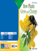how plants grow and change