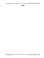 Thực trạng và giải pháp thu hút FDI ở Vĩnh Phúc giai đoạn từ 2008 đến nay