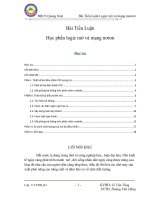 Tiểu luận logic mờ và mạng neuron