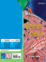 how plants and animals live