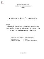 đánh giá tình hình tài chính thông qua việc phân tích các báo cáo tài chính của ctcp tập đoàn dabaco việt nam