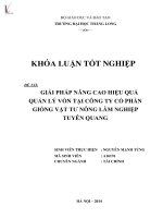 giải pháp nâng cao hiệu quả quản lý vốn tại công ty cổ phần giống vật tư nông lâm nghiệp tuyên quang