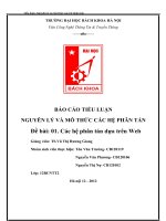báo cáo tiểu luận nguyên lý và mô thức các hệ phân tán các hệ phân tán dựa trên web