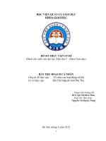 Chuyên đề thực tập  Tổ chức các hoạt động xã hội, Hội Chữ thập đỏ tỉnh Phú Thọ