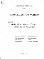 phân tích cơ cấu vốn tại công ty cổ phần x20