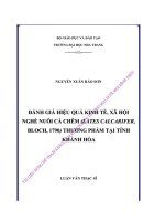 đánh giá hiệu quả kinh tế xã hội nghề nuôi cá chẽm thương phẩm tại khánh hòa