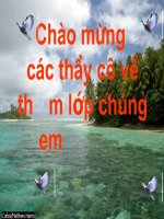 Bài 27 địa lý: lớp vỏ sinh vật.