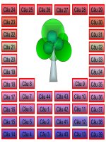 ĐỐ VUI ÔN TẬP THI HK II-12