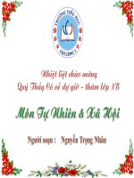 Môn Tự nhiên & Xã hội lớp 3 : Bài Chim