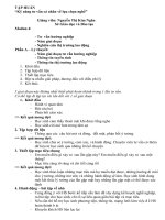 Tap Huan Tieu De HN 2013