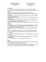 DE cuong on tap toan 7 HK II