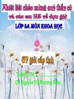 Bài 42: Sử Dụng Năng Lượng Chất Đốt (Tự soạn)