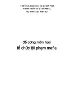 Đề cương môn học : Tổ chức tội phạm mafia