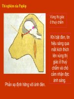 phản xạ co điều kiện