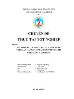 Giải pháp mở rộng hoạt động cho vay tiêu dùng tại Ngân hàng Thương mại Cổ phần Sài Gòn Thương Tín – Chi nhánh Hải Phòng