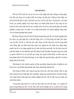 chuyên đề Kế toán bán hàng và xác định kết quả bán hàng tại Công ty Cổ phần Viễn thông Bắc