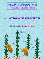 con vat song duoi nuoc