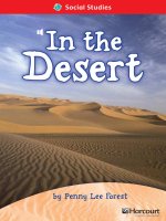 social studies in the desert