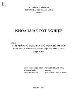 giải pháp mở rộng quy mô vốn chủ sở hữu cho ngân hàng thương mại cổ phần của việt nam