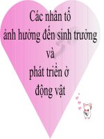Bài 38 Ảnh hưởng của các nhân tố đến sinh trưởng và phát triển...