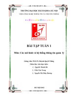 tiểu luận CÁC MÔ HÌNH VÀ KIẾN TRÚC HỆ THỐNG THÔNG TIN QUẢN LÝ nhóm 10