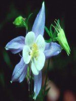 Hóa 9- bai 31-sơ lược bảng HTTH