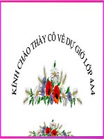 CAU HOI VA DAU CHAM HOI