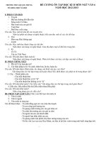 DE CUONG ON TAP VAN 6