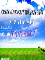 Tiết 30 - Tiếng ve gọi hè