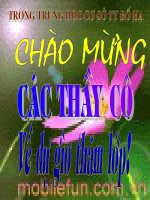 Cau tao trong cua chim bo cau