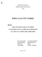phân tích thực trạng tài chính và giải pháp nâng cao hiệu quả kinh doanh của công ty cổ phần nhựa bình minh