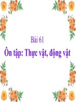 On tap Thuc vat dong vat tuan 31