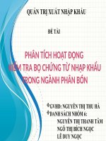 phân tích kiểm tra bộ chứng từ nhập khẩu trong ngành phân bón