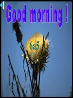 Anh 6-(t90)-Unit 14-B5,6