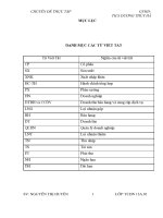 Giải pháp nâng cao hiệu quả huy động vốn và sử dụng vốn lưu động tại công ty Cổ Phần Sản Xuất Và Xuất Nhập Khẩu Bao Bì Thăng Long