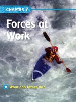 forces at work chapter 7