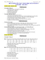 De cuong on thi HKII - 2013